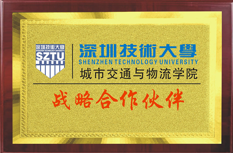 深圳技术大学